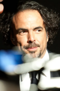 Birdman or (The Unexpected Virtue of Ignorance)